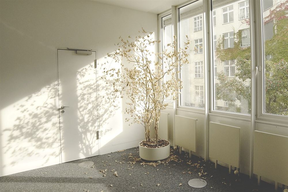 Espace de bureaux lumineux